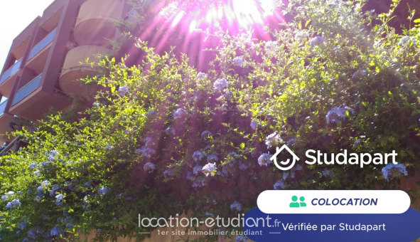 Colocation étudiante Studio &agrave; Nice (06100)
