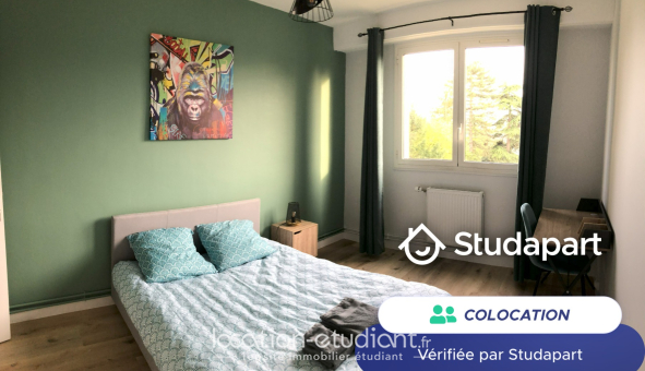 Colocation étudiante Studio &agrave; Orliénas (69530)