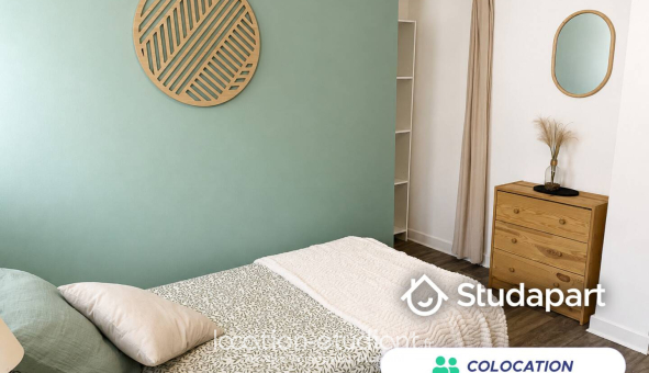 Colocation étudiante T4 &agrave; Orliénas (69530)