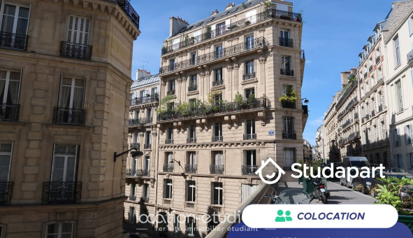 Colocation étudiante 0