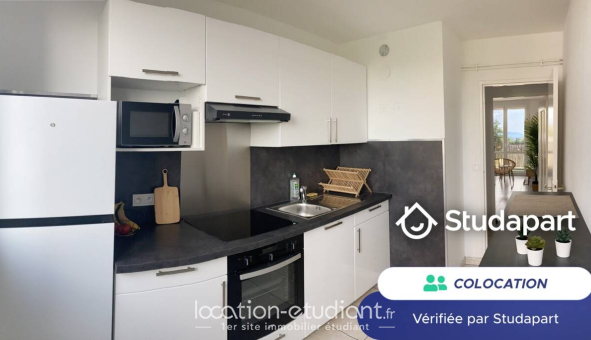 Colocation étudiante 0