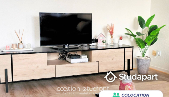 Colocation étudiante 0