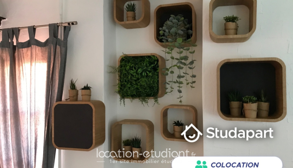 Colocation étudiante T3 &agrave; Perpignan (66100)
