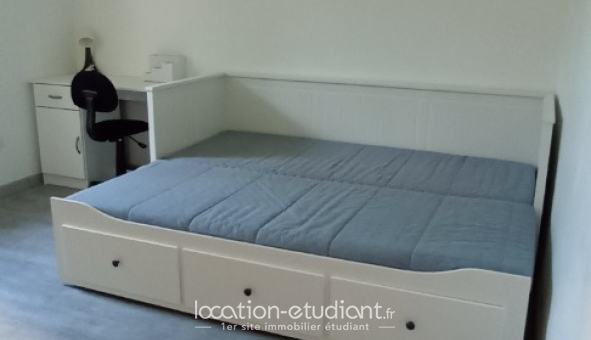 Colocation étudiante 0