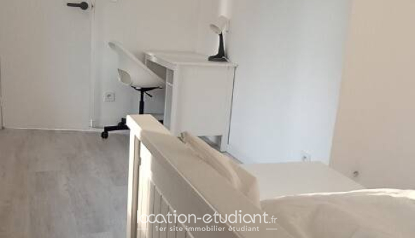 Colocation étudiante 0