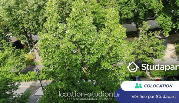 Colocation étudiante T5 &agrave; Reims (51100)
