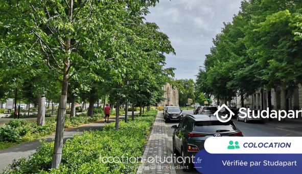 Colocation étudiante T5 &agrave; Reims (51100)