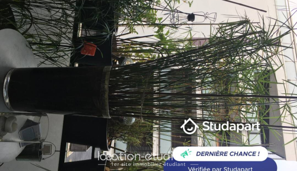 Colocation étudiante Studio &agrave; Rennes (35000)