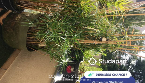 Colocation étudiante Studio &agrave; Rennes (35000)