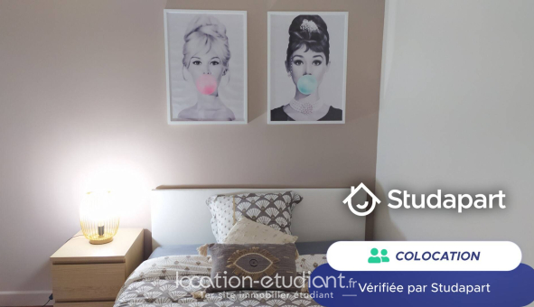 Colocation étudiante 0