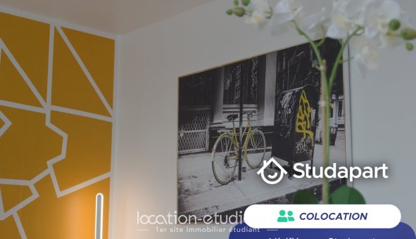 Colocation étudiante T4 &agrave; Saint Étienne du Rouvray (76800)