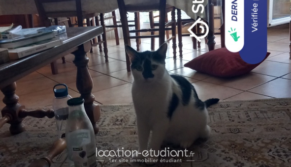 Colocation étudiante Studio &agrave; Saint Martin d'Hères (38400)