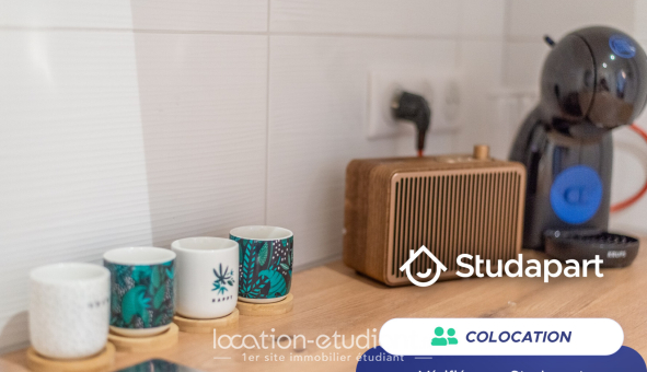 Colocation étudiante Studio &agrave; Strasbourg (67000)