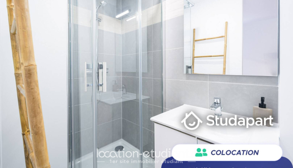 Colocation étudiante T3 &agrave; Strasbourg (67000)