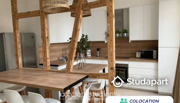 Colocation étudiante Duplex &agrave; Strasbourg (67000)