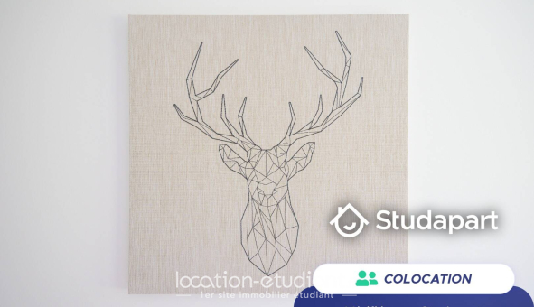 Colocation étudiante Studio &agrave; Talence (33400)