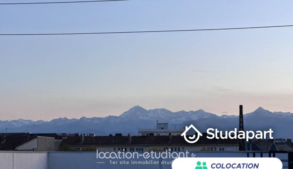 Colocation étudiante 0