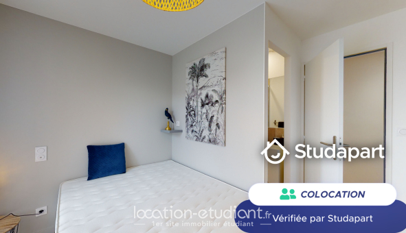 Colocation étudiante T3 &agrave; Toulouse (31500)