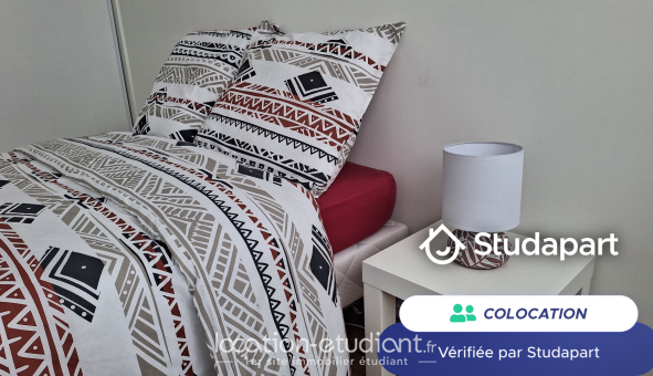 Colocation étudiante Duplex &agrave; Toulouse (31500)