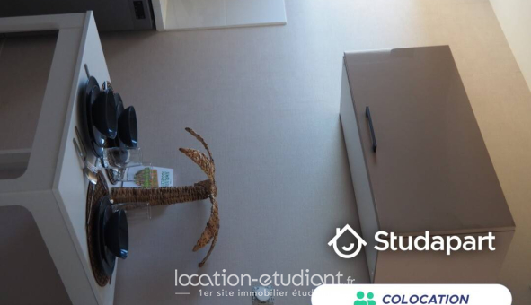 Colocation étudiante T4 &agrave; Tours (37000)