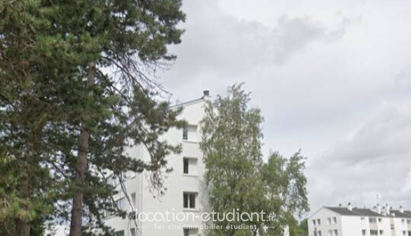 Colocation étudiante 0