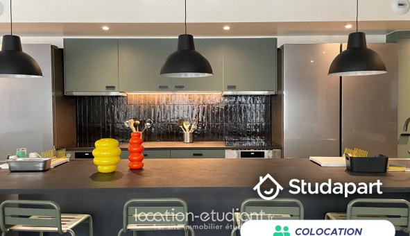 Colocation étudiante 0