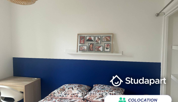 Colocation étudiante Studio &agrave; Villeneuve d'Ascq (59491)