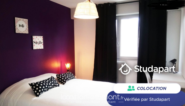 Colocation étudiante T4 &agrave; Villeurbanne (69100)