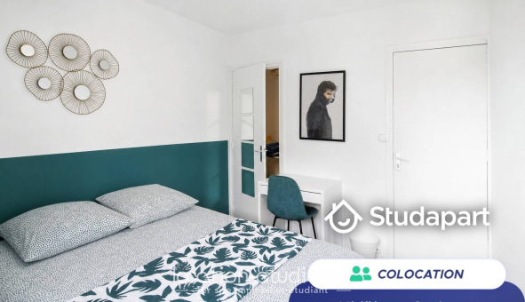 Colocation étudiante T4 &agrave; Villeurbanne (69100)