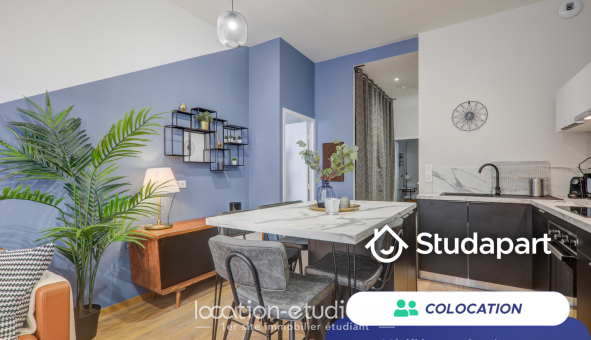 Colocation étudiante Duplex &agrave; Villeurbanne (69100)