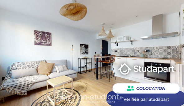 Colocation tudiante T3 à Montpellier (34080)