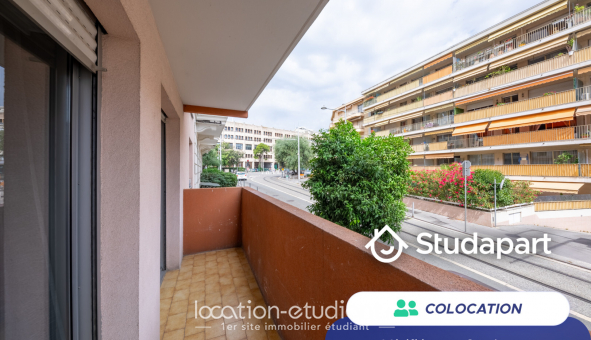 Colocation �tudiante T3 &agrave; Nice (06100)