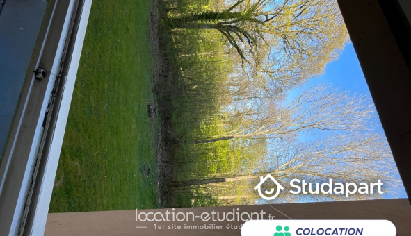 Colocation tudiante T4 à Champs sur Marne (77420)