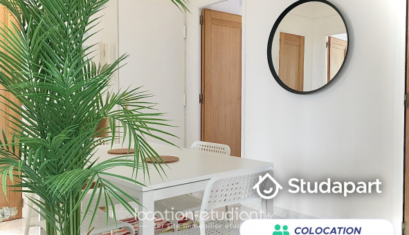 Colocation étudiante T4 à Marseille 08ème arrondissement (13008)