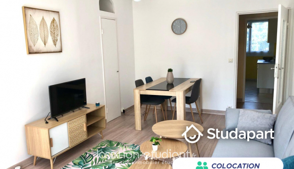 Colocation tudiante T4 à Pau (64000)