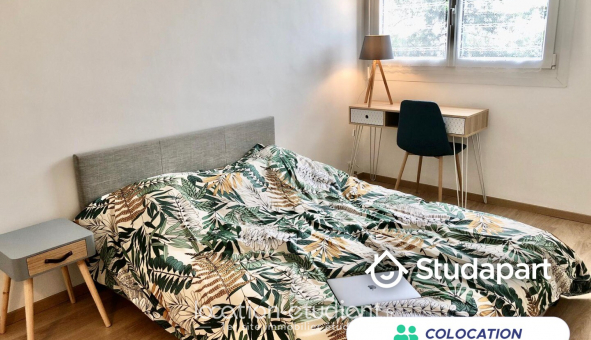 Colocation tudiante T4 à Pau (64000)