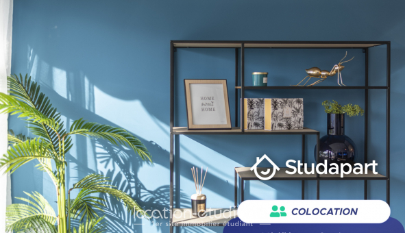 Colocation étudiante T5 à Strasbourg (67000)