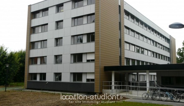 Location Bas Livin - Lille (59800)